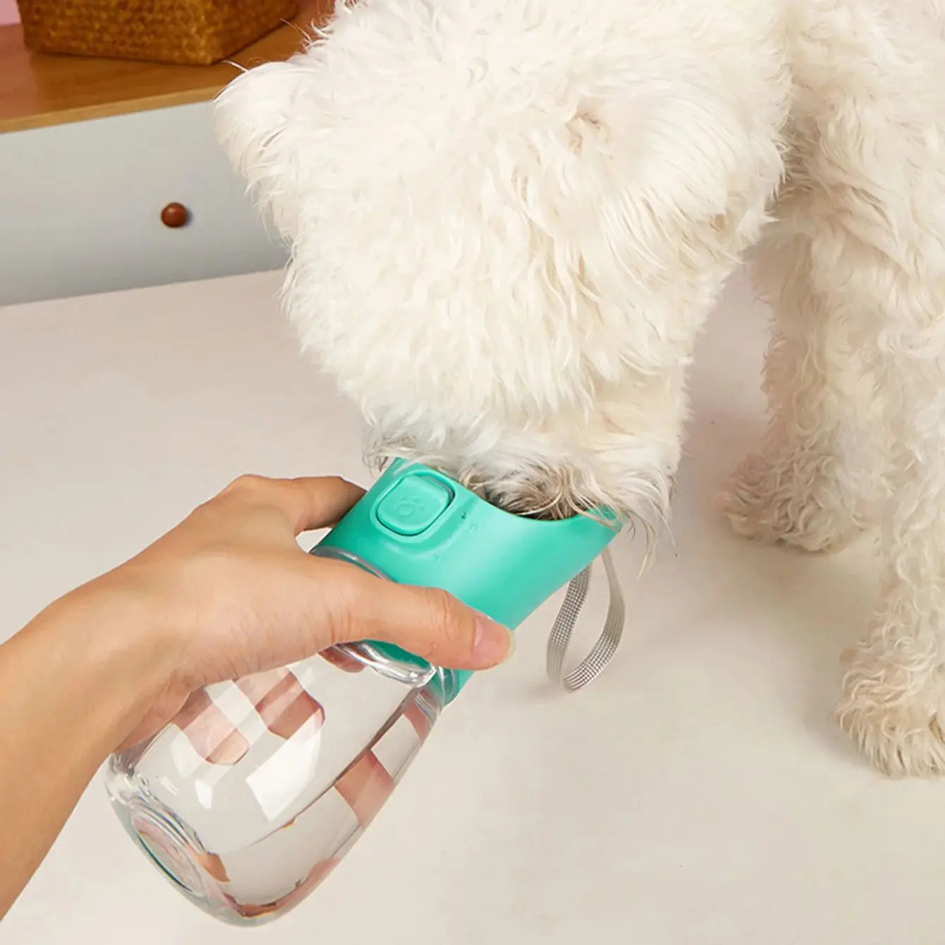 Portable Water Bottle - Dog Water Bottle